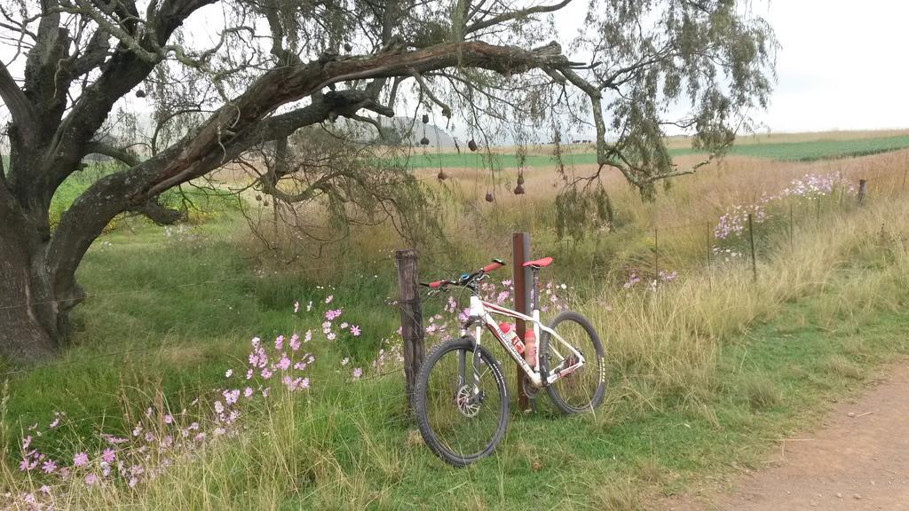 Forellenhof Guest Farm Wakkerstroom Eksteriør billede